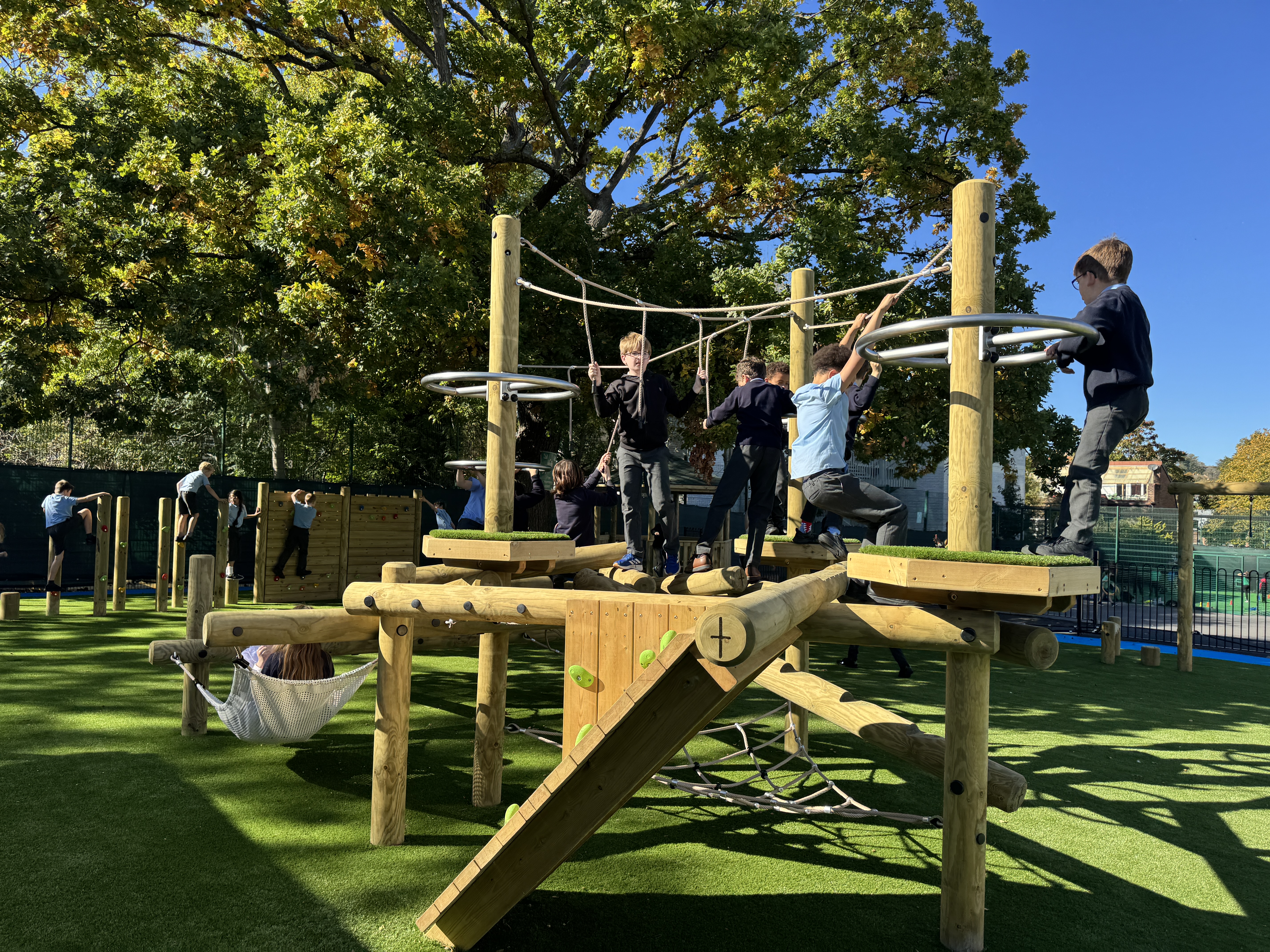 The Chestnut Climber