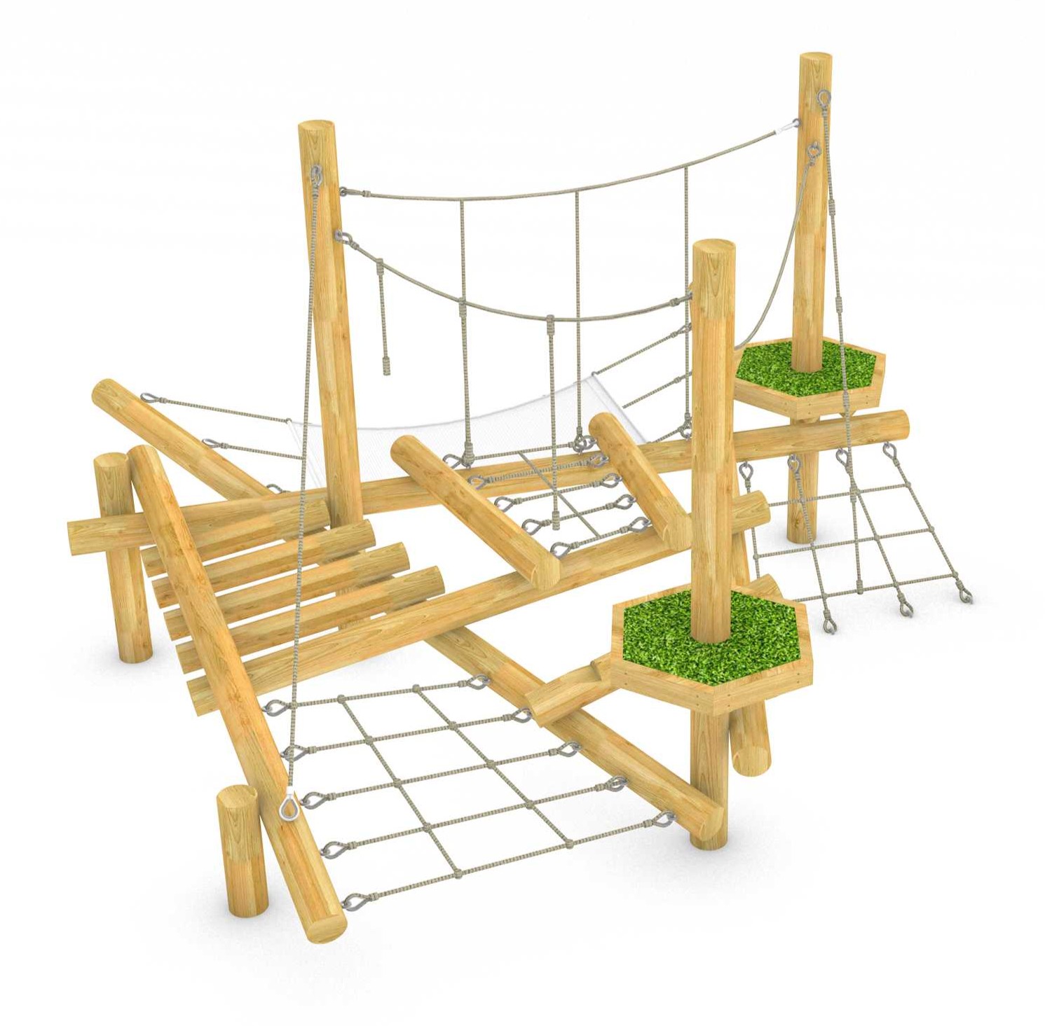 The Willow Forest Floor and Canopy