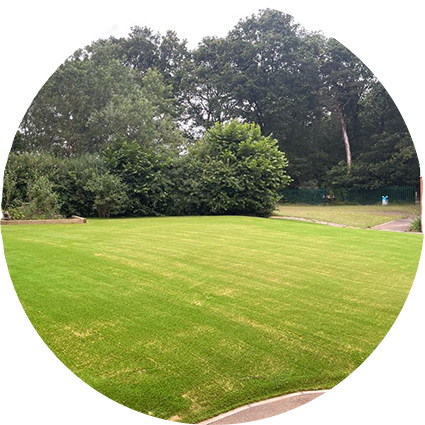 All-weather surfacing