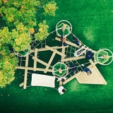 The Chestnut Climber