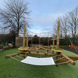 Maple Climber_Hampreston
